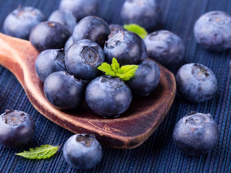 Fresh blueberries - healthy diet